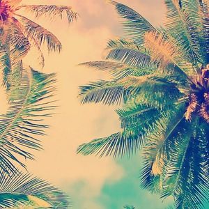 Meet your Posher, Alexia